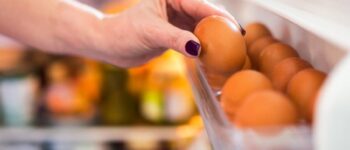 Tủ lạnh là nơi bảo quản trứng được tin dùng và ưa chuộng nhất bởi sự tiện lợi và nhanh chóng.
